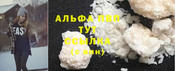 прущие грибы Вязьма