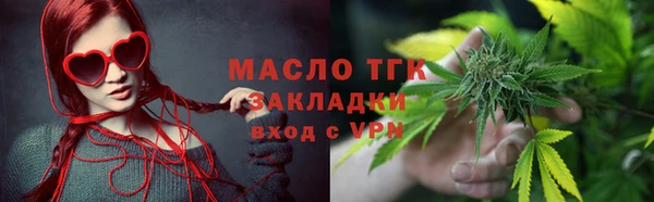 прущие грибы Вязьма