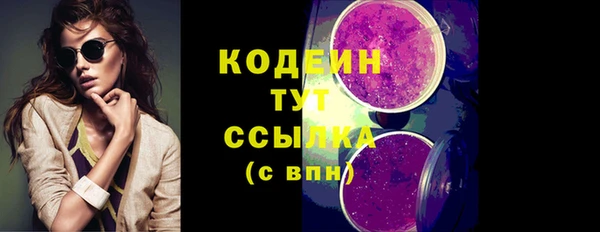 прущие грибы Вязьма