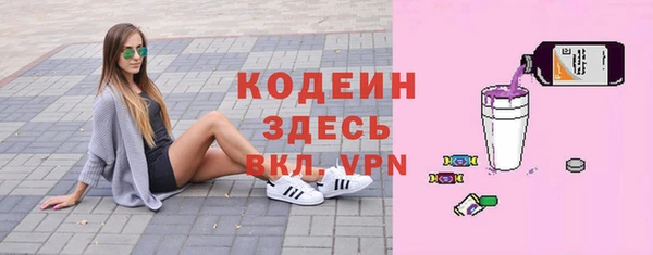 прущие грибы Вязьма