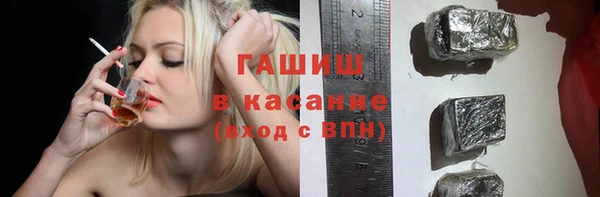 прущие грибы Вязьма