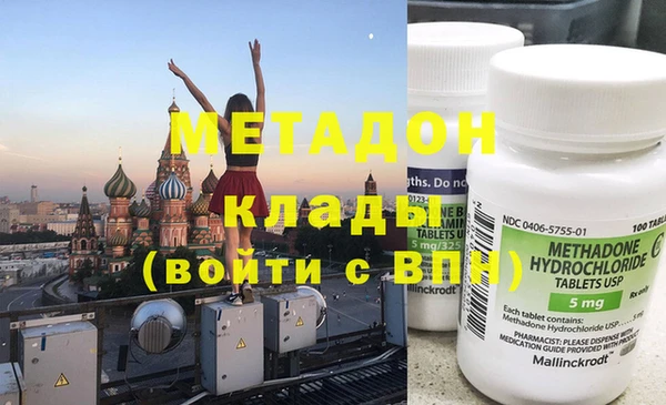 прущие грибы Вязьма