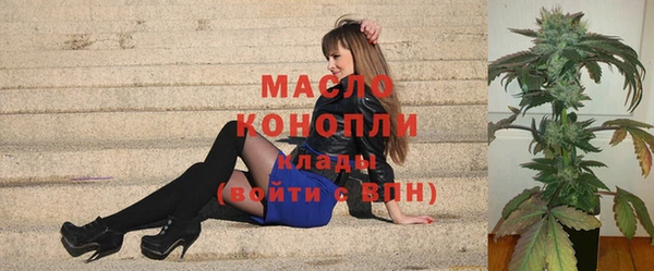 прущие грибы Вязьма