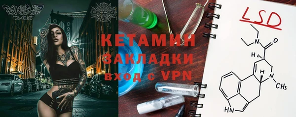 прущие грибы Вязьма