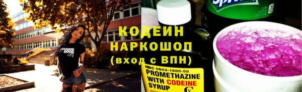 прущие грибы Вязьма